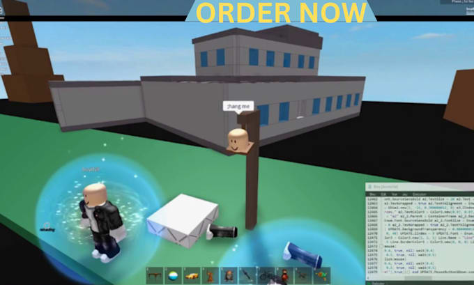 Gig Preview - Be your professional roblox scripter