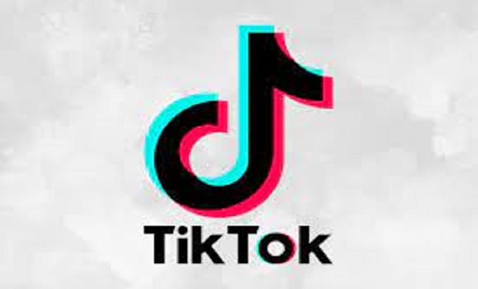 Gig Preview - Create trending tiktok dance, group dance, break dance, hip hop dance for you