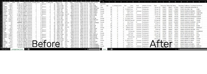 Gig Preview - Professionally clean, format, merge, and split excel data