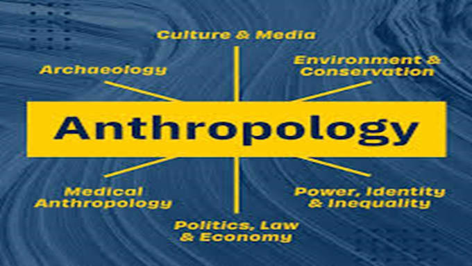 Gig Preview - Do sociology, philosophy, anthropology, criminology and theology tasks