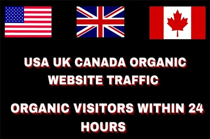 Gig Preview - Do organic USA,UK website traffic to increase sales