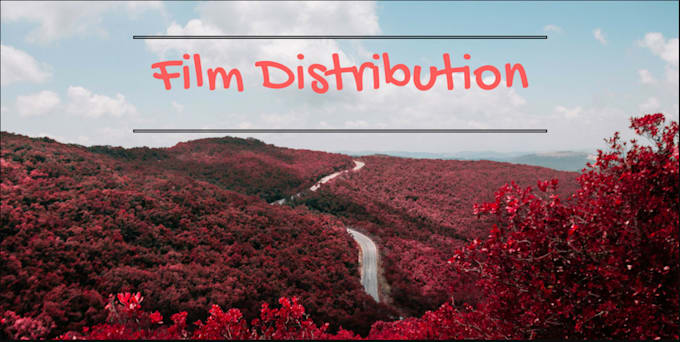 Gig Preview - Distribute your film to tubi, netflix amazon prime