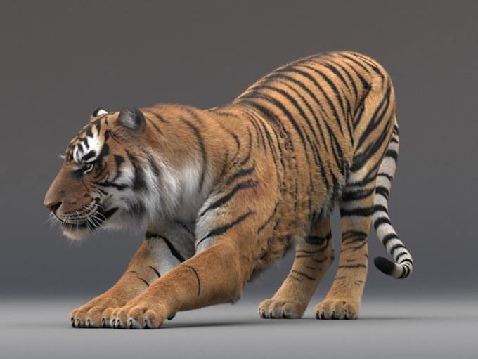 Gig Preview - 3d animal model 3d cgi animal animation 3d animal rigging film compositing vfx