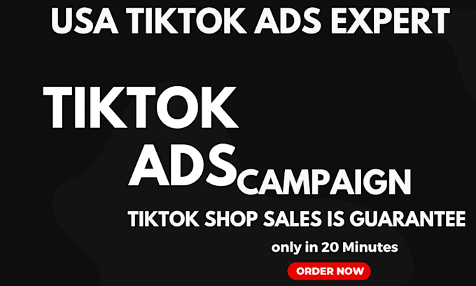 Gig Preview - Setup tik tok ads run tiktok ads manager tiktok marketing dropshipping ads setup