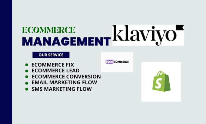 Gig Preview - Setup ecommerce lead conversion fix management email sms marketing flow klaviyo