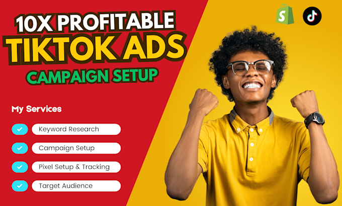 Gig Preview - Set up tiktok ad campaigns, tiktok ads, and tiktok video ads campaign