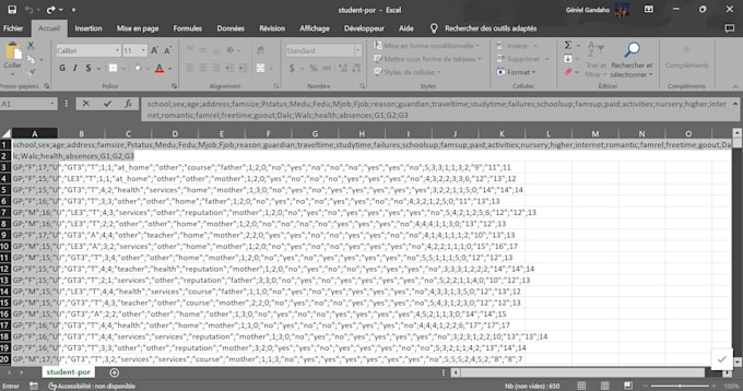 Gig Preview - Clean and organize your data for precise analysis