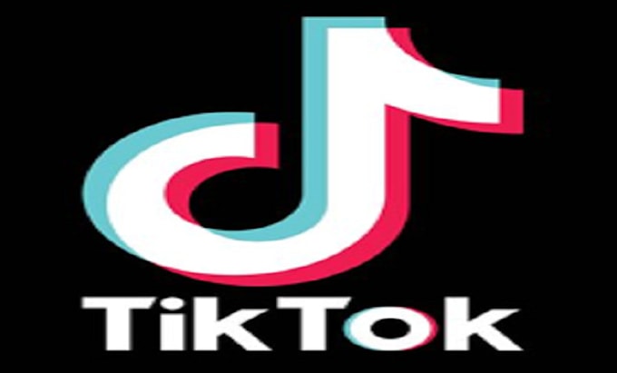 Gig Preview - Setup your tiktok shop and affiliate marketing, tiktok ads shopify telegram