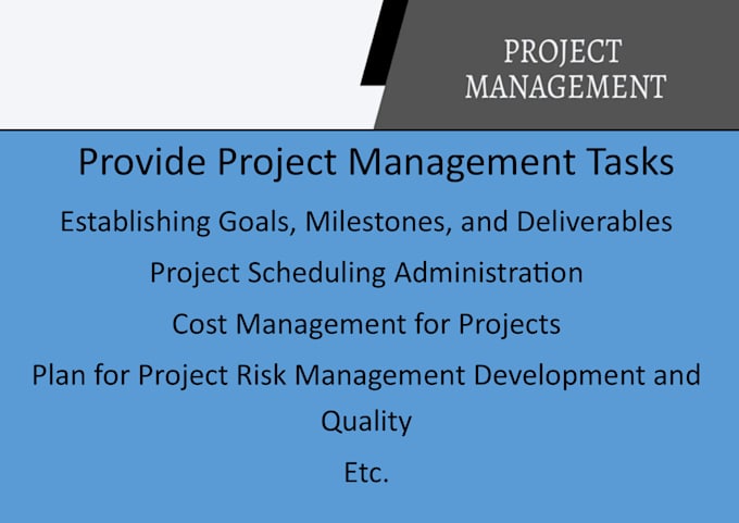 Gig Preview - Do project management tasks