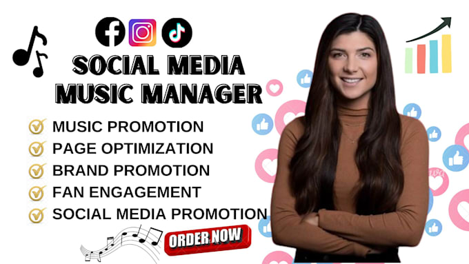 Gig Preview - Be your pro social media manager and manage your music career