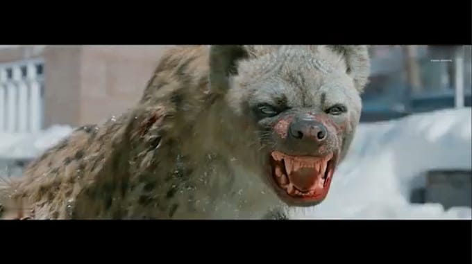 Gig Preview - Cgi compositing 3d animal animation, character model, vfx design, groom xgen fur