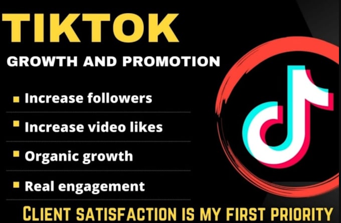 Gig Preview - Do tiktok promotion, tiktok marketing, tiktok monetization