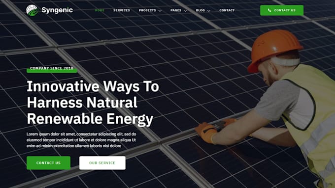 Gig Preview - Design solar website solar landing page electrician website to get solar leads