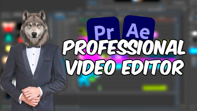 Gig Preview - Pro edit your video