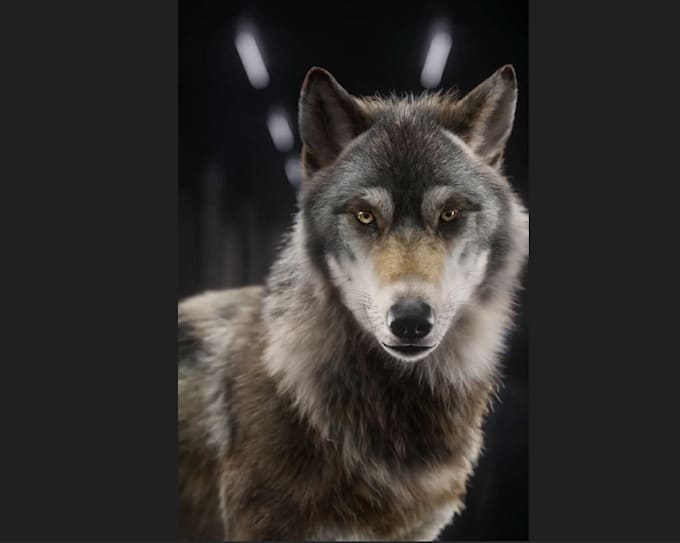 Gig Preview - Vfx realistic 3d animal animation, character model, cgi, animal rigging xgen fur