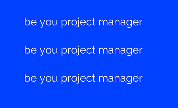 Gig Preview - Be your project manager