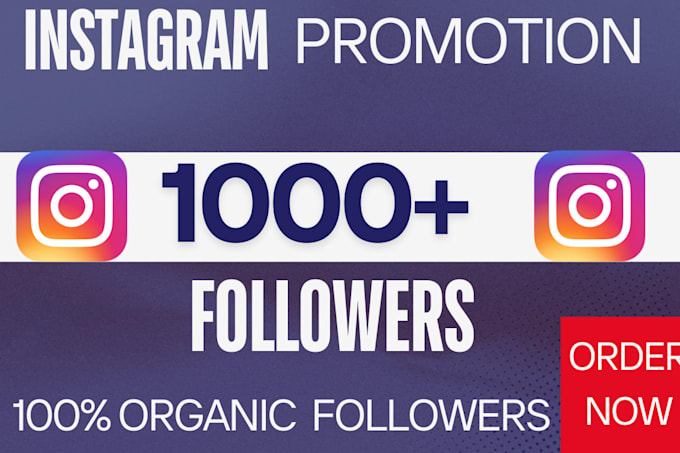 Gig Preview - Increase your instagram page followers from usa 1000 number super fast