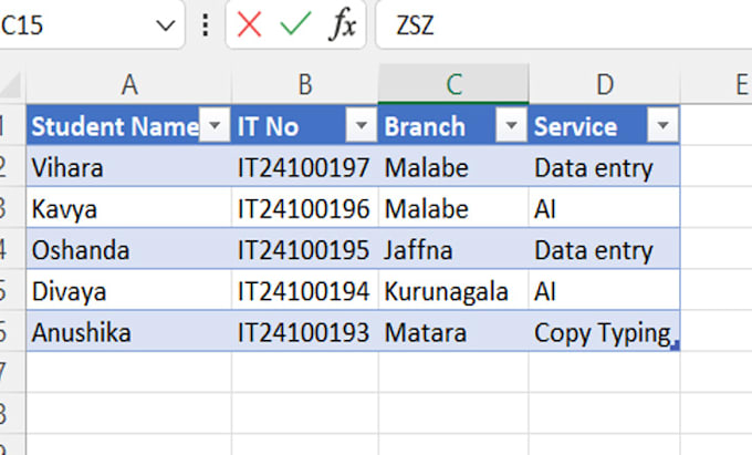 Gig Preview - Do accurate and reliable data entry for your project