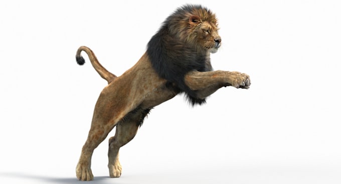 Bestseller - 3d cgi animal model 3d animal animation 3d animal rigging vfx film compositing