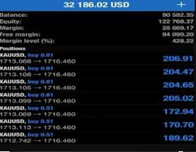 Gig Preview - Manage your mt4 or mt5 account management with good risk management good profit