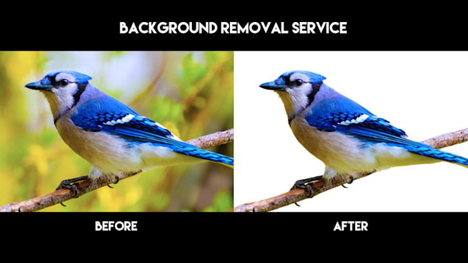 Bestseller - remove background of an image