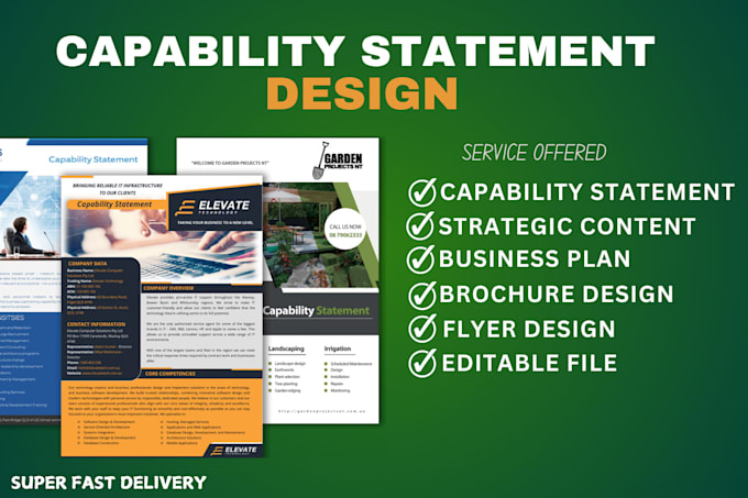 Gig Preview - Write and design government capability statement, government contact