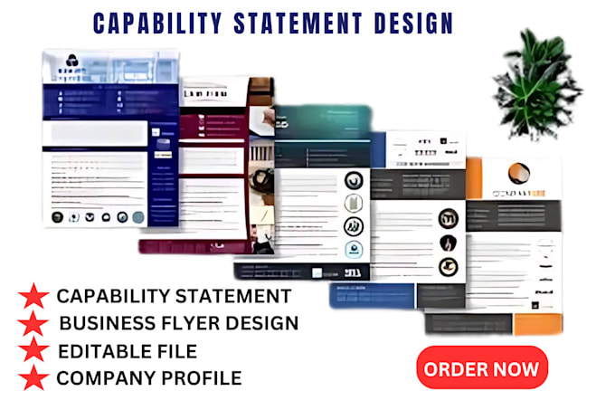 Gig Preview - Design professional federal government capability statement