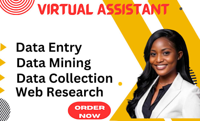 Gig Preview - Be your virtual assistant for data entry, copy paste, web research and typing