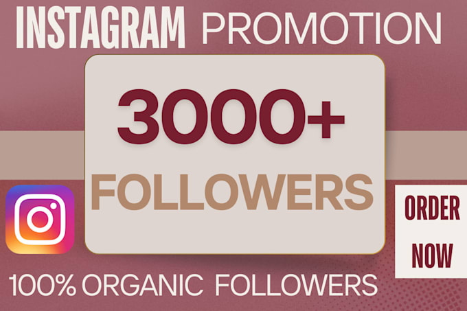 Gig Preview - Get fast organic instagram growth and instagram follower