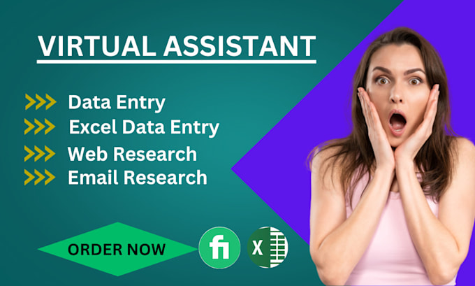 Gig Preview - Be your virtual assistant for data entry, data mining,