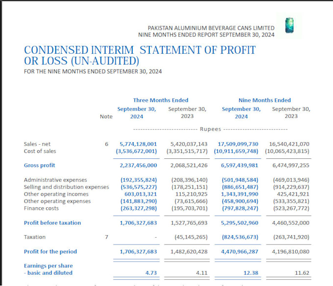 Gig Preview - Prepare your balance sheet,cash flow statement and income statement