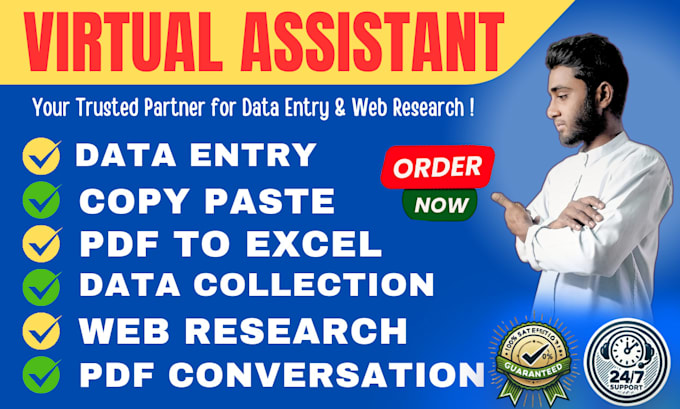 Gig Preview - Efficient data entry, copy paste, and web research services