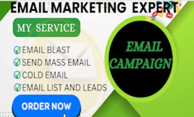 Gig Preview - Send mass email campaigns manually to your target list for email marketing