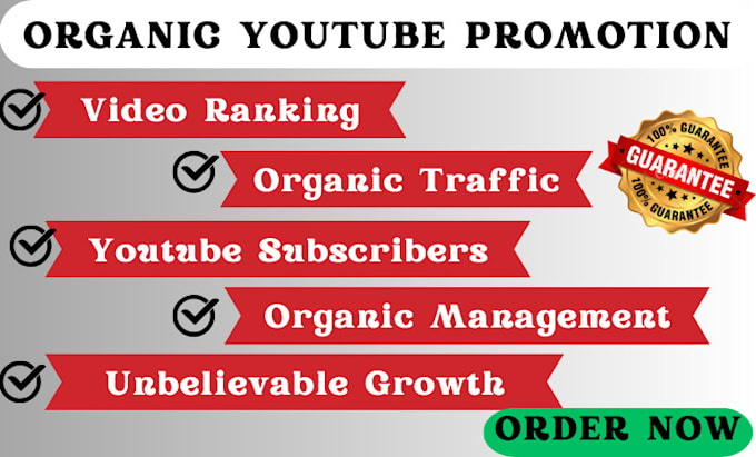 Gig Preview - Organic youtube promotion, subscribers for your videos and channel