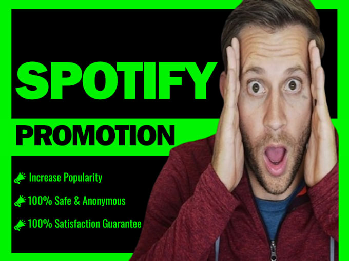 Gig Preview - Do organic spotify and audiomack music promotion to get real audience