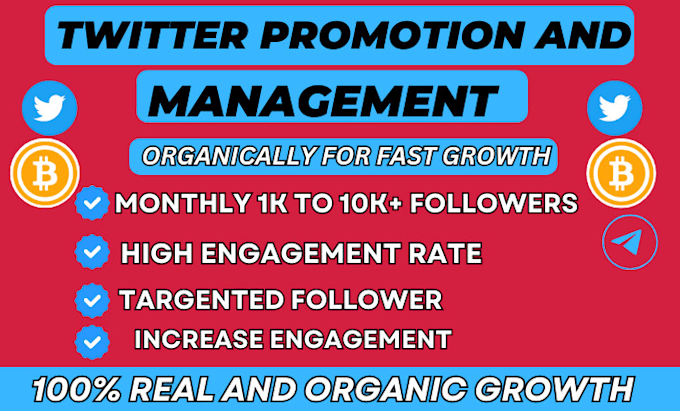 Gig Preview - Expert crypto twitter x marketing or promotion, organic growth for real follower