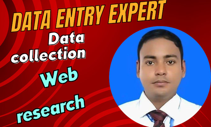 Gig Preview - Do your data entry, web research, data collection