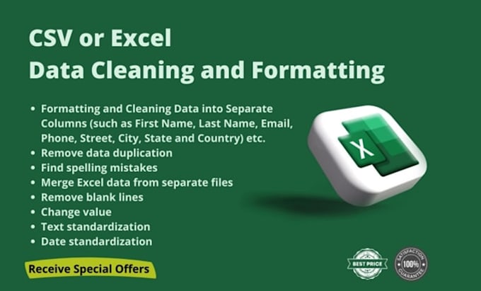 Gig Preview - Clean, organize, merge and format excel data in one day