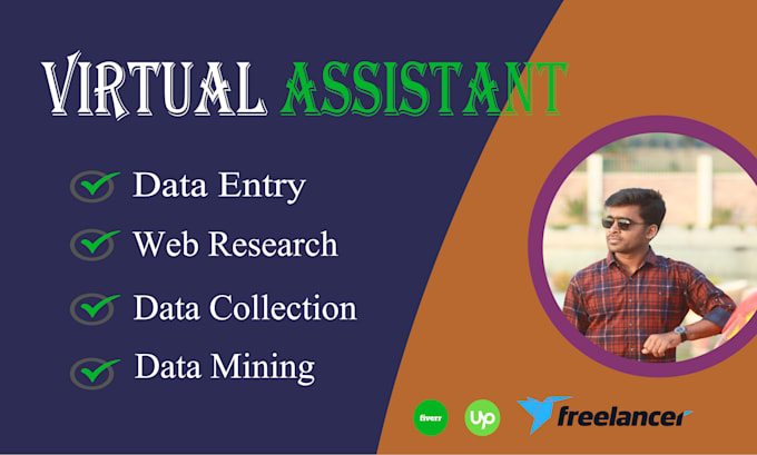 Gig Preview - Do your virtual assistant for data entry,web research expart