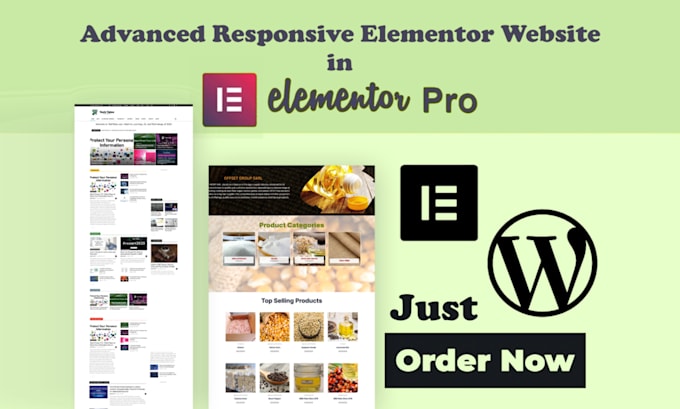 Gig Preview - Do wordpress elementor website development and design