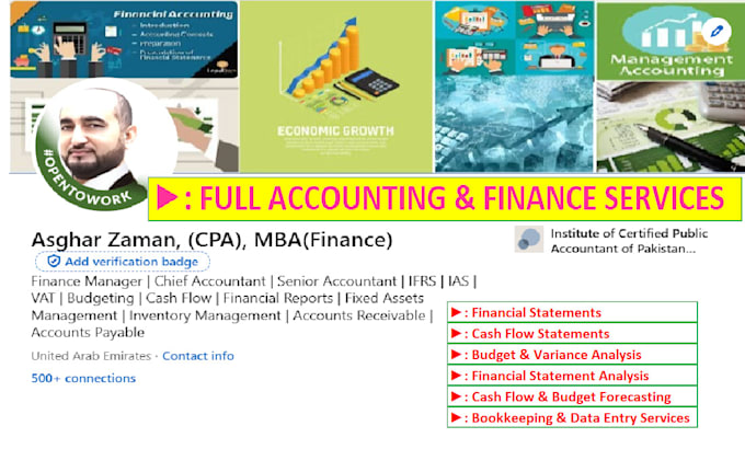 Gig Preview - Do financial reporting, profit and loss, balance sheet, financial analysis