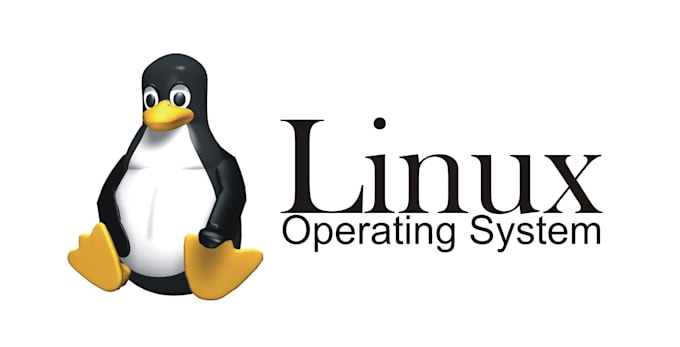 Bestseller - install and configure linux vps