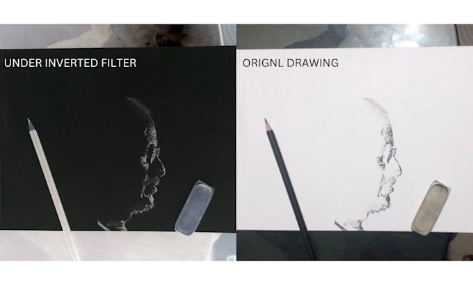 Gig Preview - Turn your photo into a breathtaking inverted pencil portrait