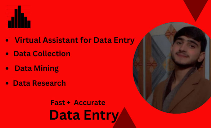 Gig Preview - Be your virtual assistant for data entry,copy paste