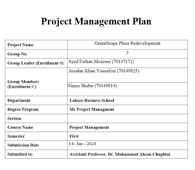 Gig Preview - Create a professional project plan and timeline for your business