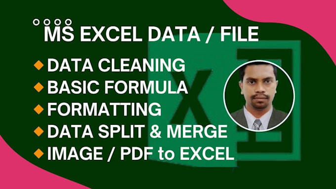 Gig Preview - Do formatting and data cleaning in ms excel quickly