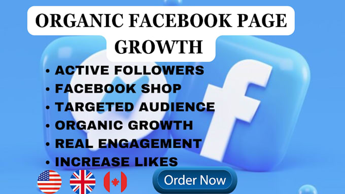 Gig Preview - Grow your facebook page, instagram followers with targeted USA, UK audience