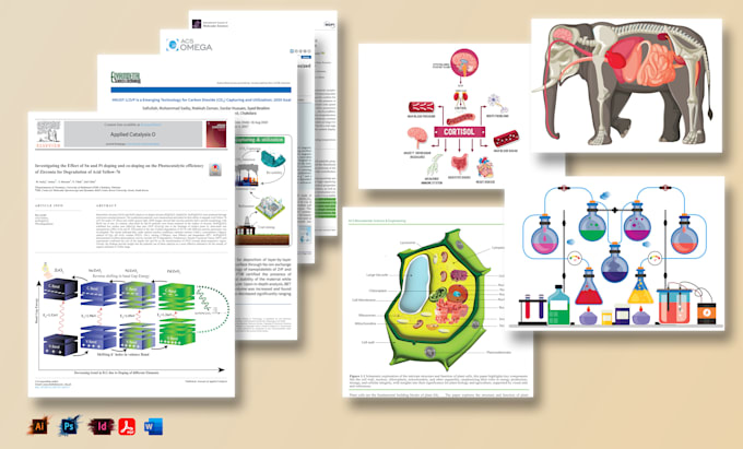 Gig Preview - Design science, chemistry, physics and biology diagrams and illustrations