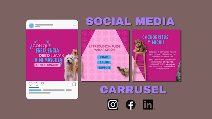 Bestseller - design social media carrusel