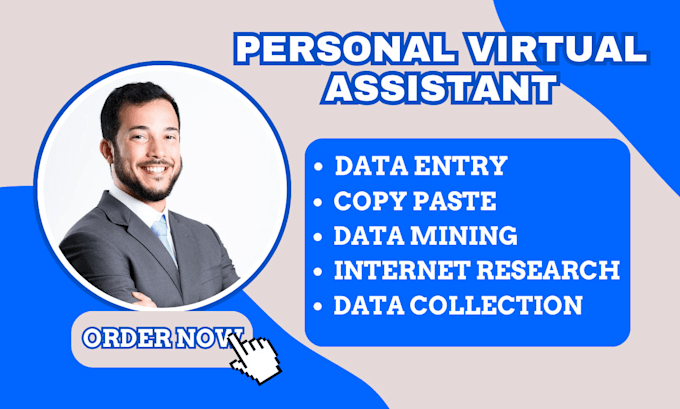 Gig Preview - Your personal admin virtual assistant for data entry social media web research